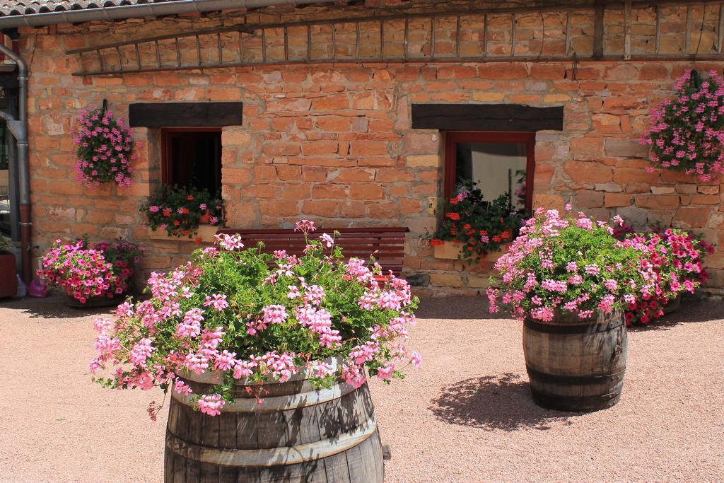 Hotel Restaurant Le Moulin De Saint Verand Exterior foto